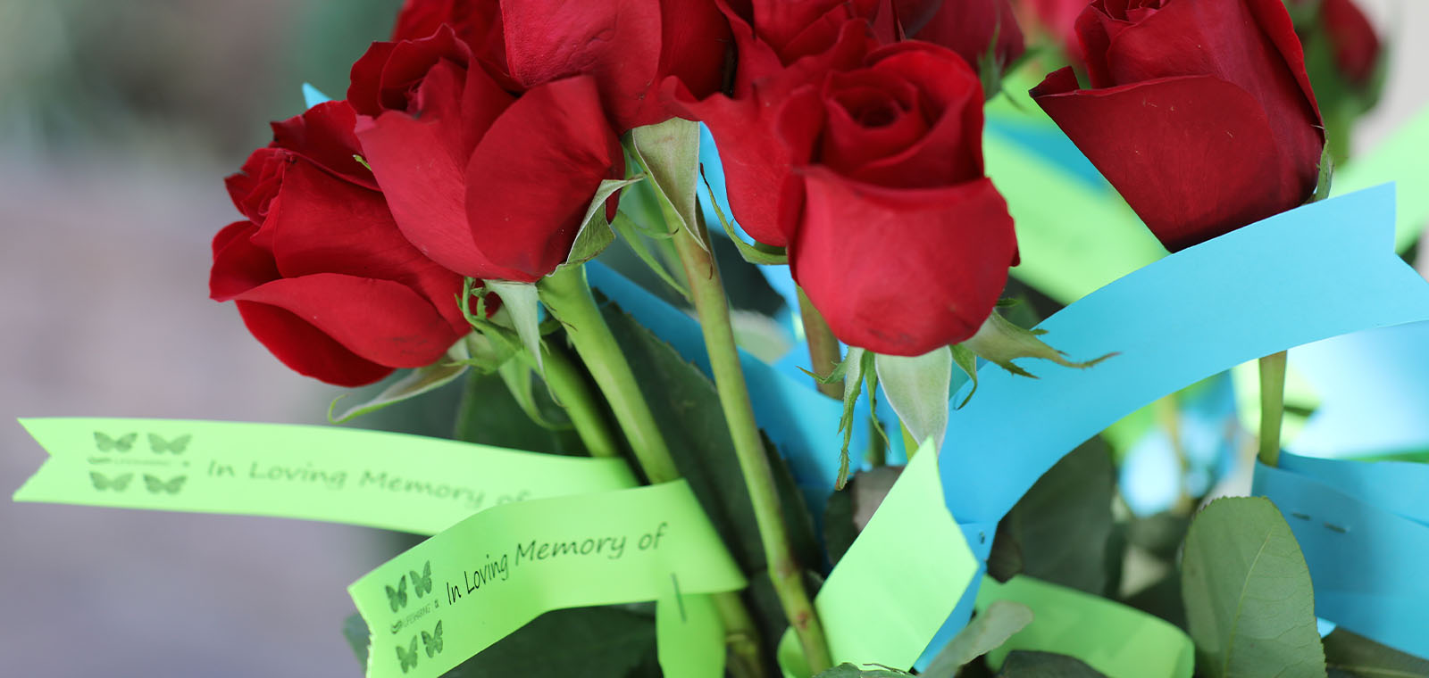 Writing to Transplant Recipients